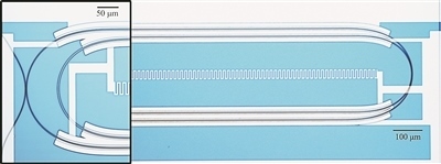 微波光量子傳感器的光學(xué)顯微照片。圖片來源：美國哈佛大學(xué)
