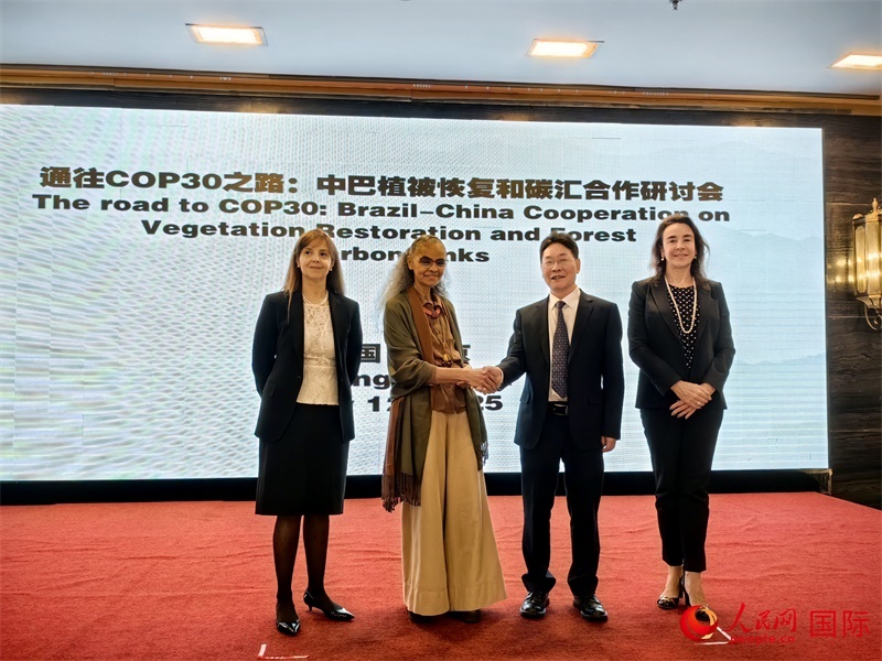 中國(guó)國(guó)家林業(yè)和草原局副局長(zhǎng)李云卿（右二）、巴西環(huán)境和氣候變化部部長(zhǎng)瑪麗娜·席爾瓦（左二）、巴西財(cái)政部副部長(zhǎng)羅熙丹（右一）、巴西駐華大使館公參樂(lè)美（左一）出席“通往COP30之路：中巴植樹(shù)造林和碳匯合作研討活動(dòng)”。人民網(wǎng)記者 符園園攝