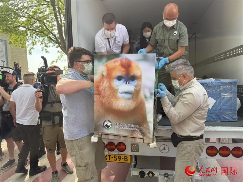 圖為活動(dòng)現(xiàn)場(chǎng)。人民網(wǎng)記者 牛瑞飛攝