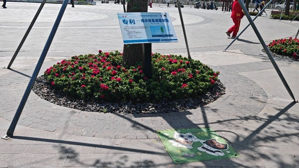廣安“雨水收集調(diào)蓄樹池”，已在市內(nèi)公園落地運用。受訪者供圖
