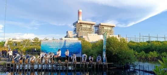 5月18日，中印尼嘉賓在爪哇7號燃煤電站舉行紅樹林補植儀式。記者 曹凱 攝