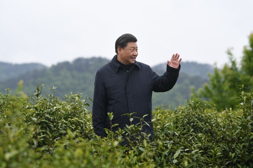 2020年4月21日，習近平總書記來到陜西安康市平利縣老縣鎮(zhèn)，在茶園考察脫貧攻堅情況。新華社記者 燕雁 攝