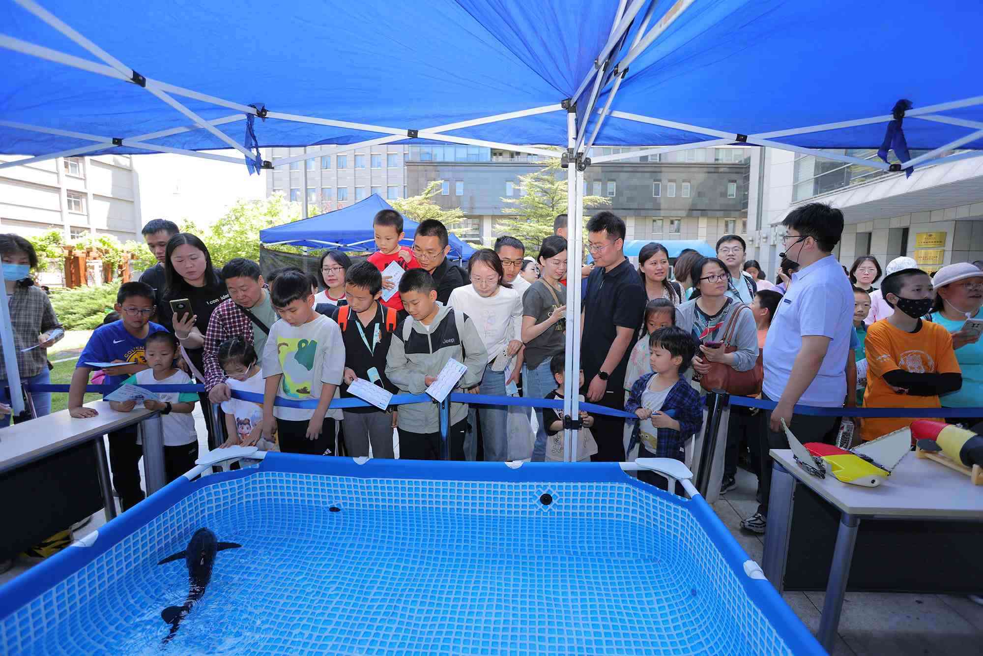 水下仿生機器魚在活動現(xiàn)場大受歡迎。中國科學(xué)院自動化研究所供圖